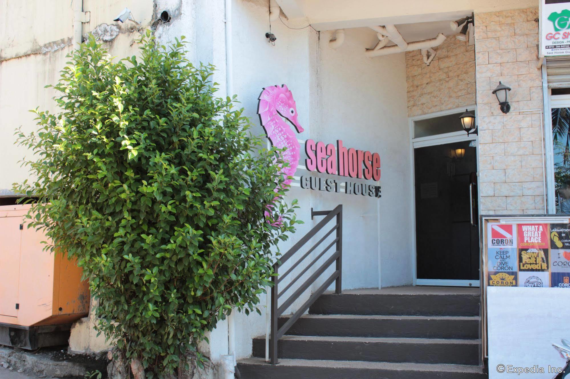 Sea Horse Guest House Coron Esterno foto